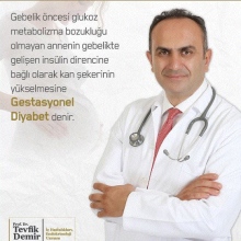 Prof. Dr. Tevfik Demir fotoğraf 4