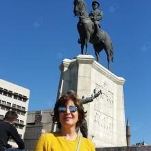Prof. Dr. Hayriye Sarıcaoğlu
