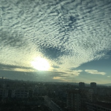 Dr. Gaye Güzel fotoğraf 4