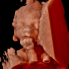 Uzm. Dr. Şahver Melek Avcı Orhun fotoğraf 4