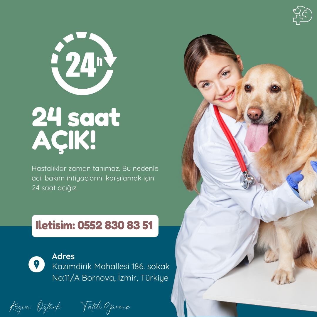 Vet Hayat Veteriner Kliniği fotoğraf 4
