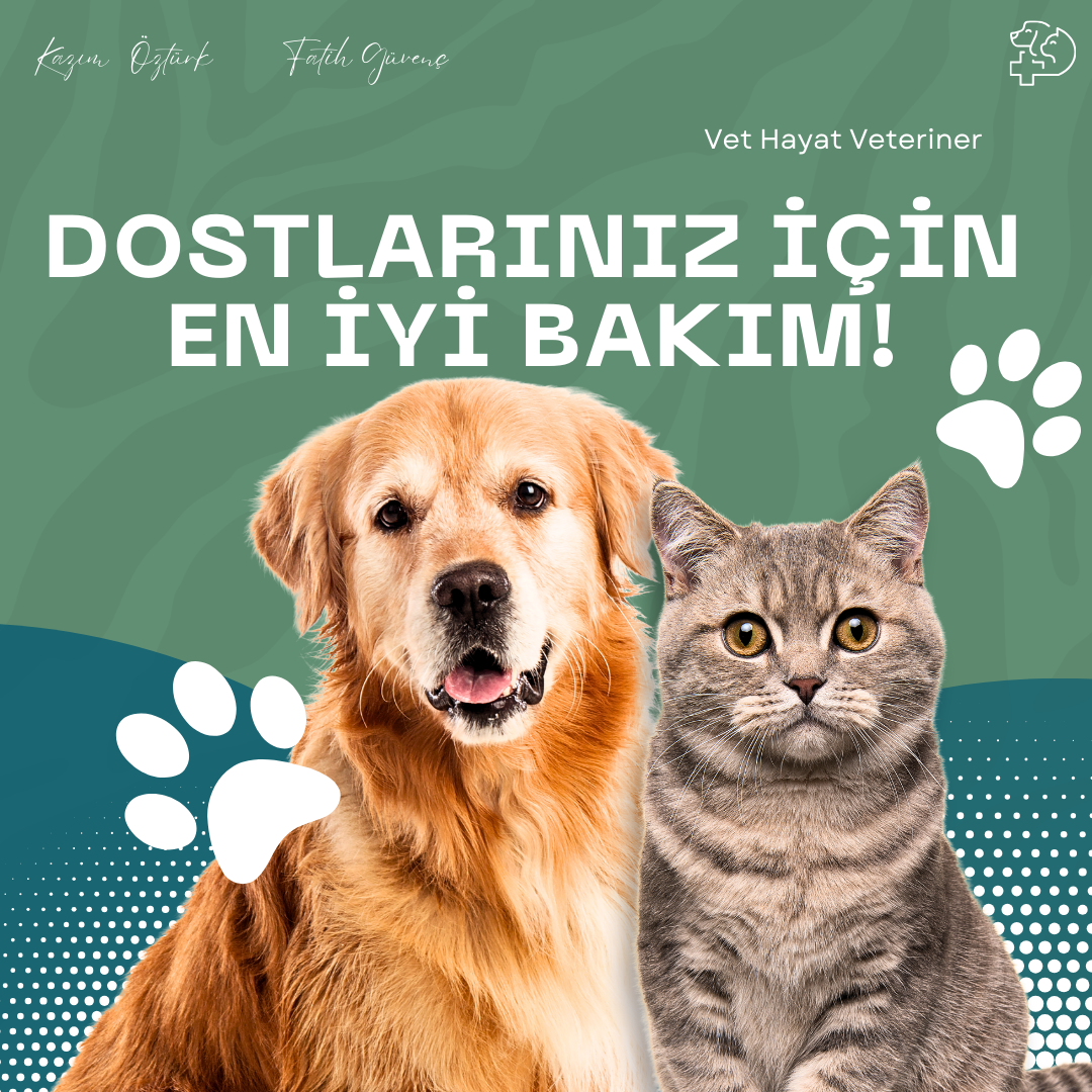 Vet Hayat Veteriner Kliniği fotoğraf 7