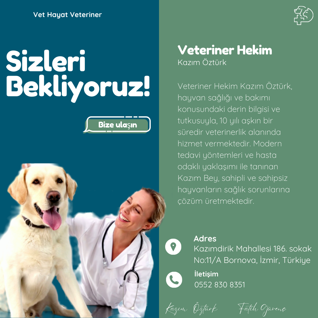Vet Hayat Veteriner Kliniği fotoğraf 3