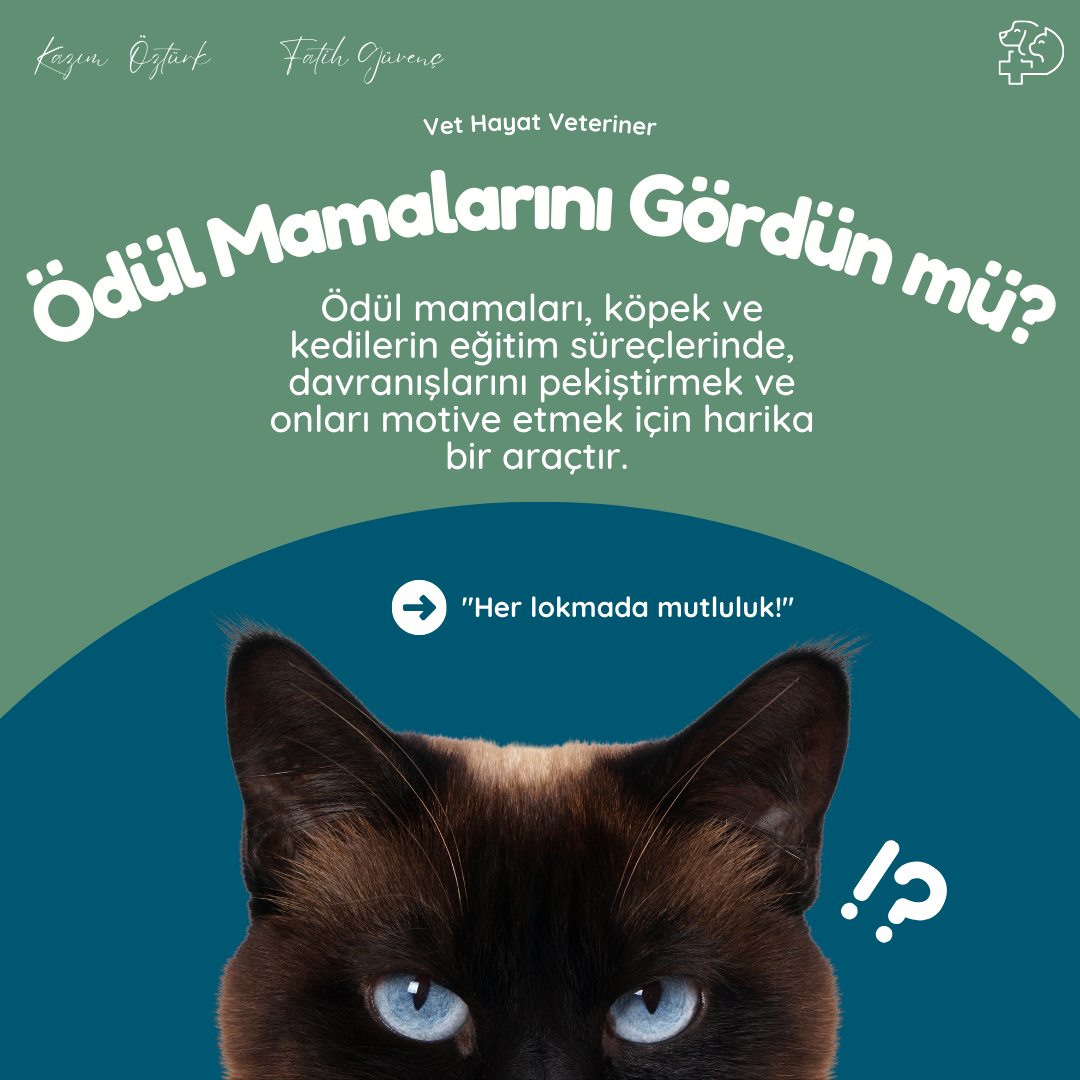 Vet Hayat Veteriner Kliniği fotoğraf 6