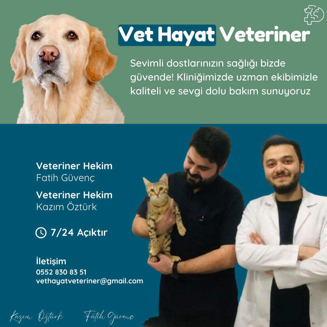 Vet Hayat Veteriner Kliniği fotoğraf 1