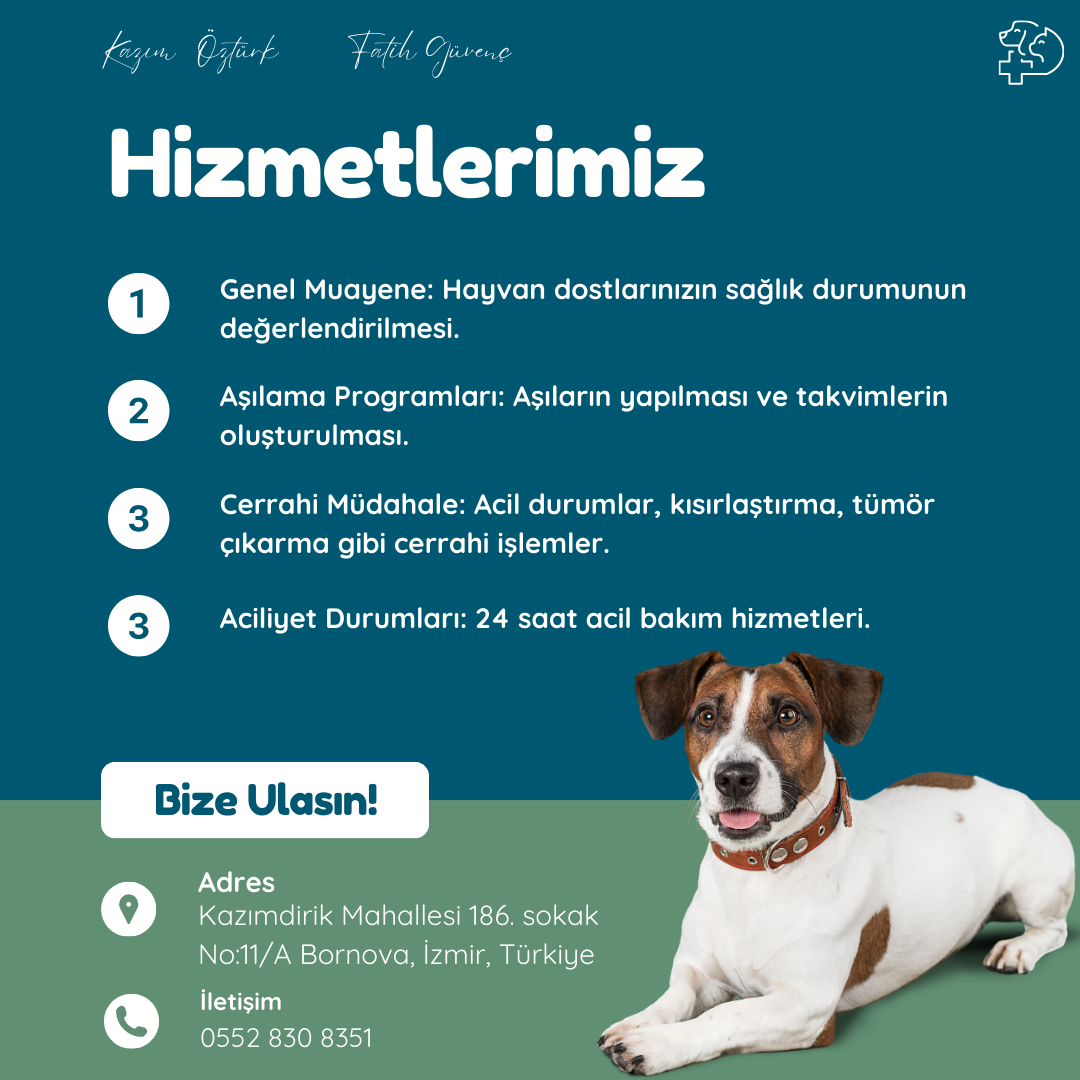 Vet Hayat Veteriner Kliniği fotoğraf 2
