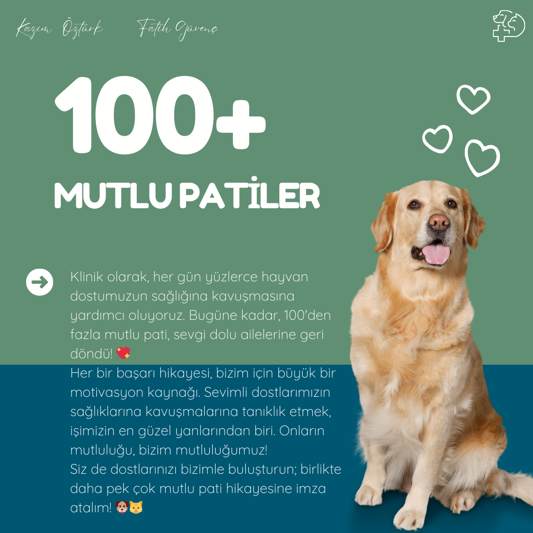 Vet Hayat Veteriner Kliniği fotoğraf 5