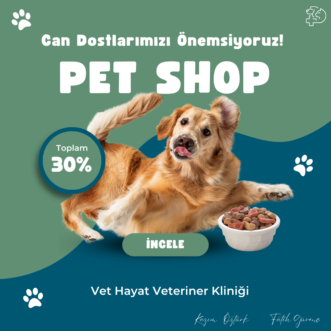 Vet Hayat Veteriner Kliniği fotoğraf 8