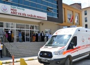 Muş Ağız ve Diş Sağlığı Merkezi
