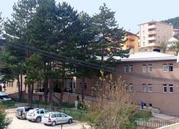 Mesudiye İlçe Devlet Hastanesi
