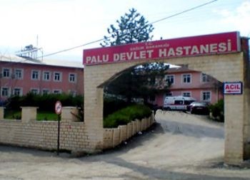 Palu Devlet Hastanesi