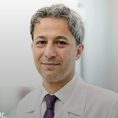Doç. Dr. Emrah Sevgili