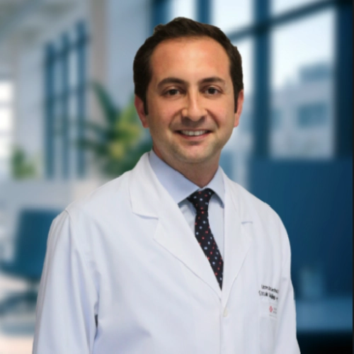 Dr. Öğr. Üyesi Serhat Kılıç