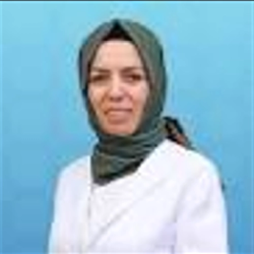 Dr. Öğr. Üyesi Seymin Ayvaz