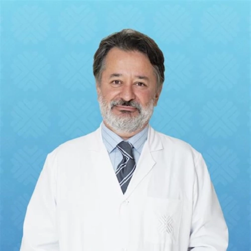 Prof. Dr. Hacı Mustafa Özdemir