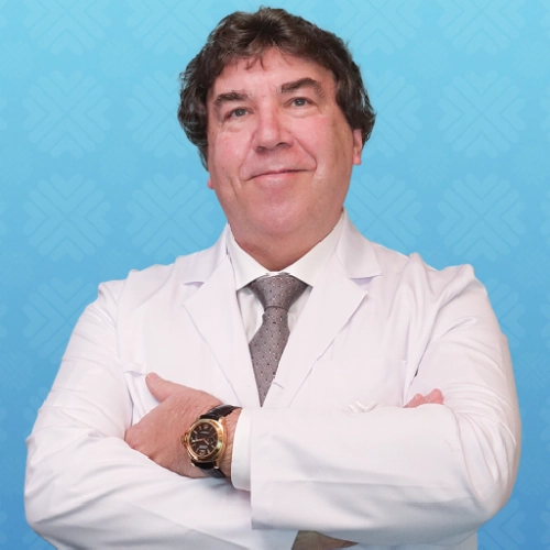 Prof. Dr. Johan Joseph Maria Catharina Hubertus Delarosette