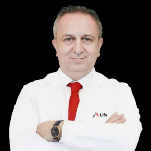 Prof. Dr. Bahadır Külah