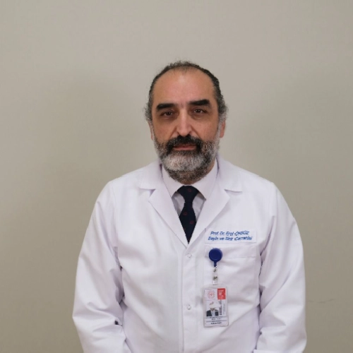 Prof. Dr. Erol Öksüz