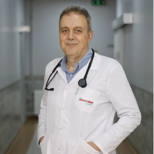 Prof. Dr. İbrahim Özdoğru