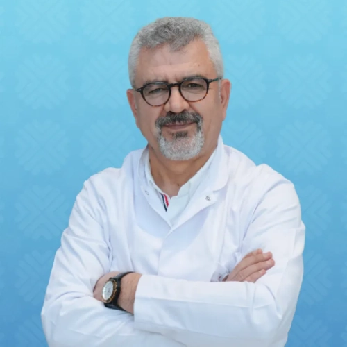 Prof. Dr. İsmet Alkış