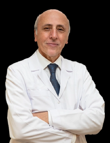 Prof. Dr. Kamil Dilek