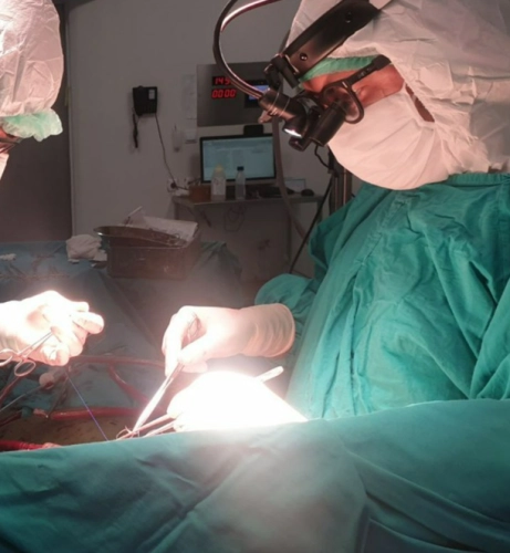 Prof. Dr. Ömer Tanyeli