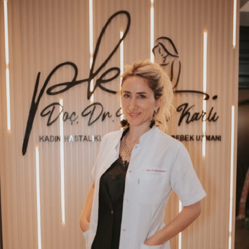 Prof. Dr. Pervin Karlı