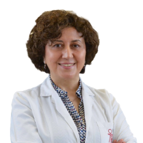 Prof. Dr. Sedef Kuran