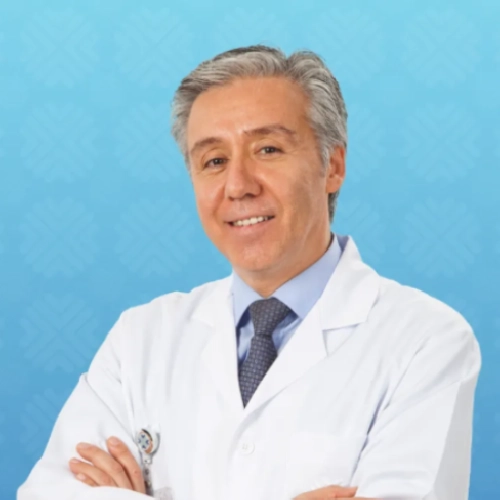 Prof. Dr. Servet Erdal Adal